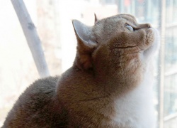 Kesäajan monet vaarat