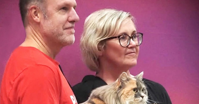 Helli, elä ja harrasta