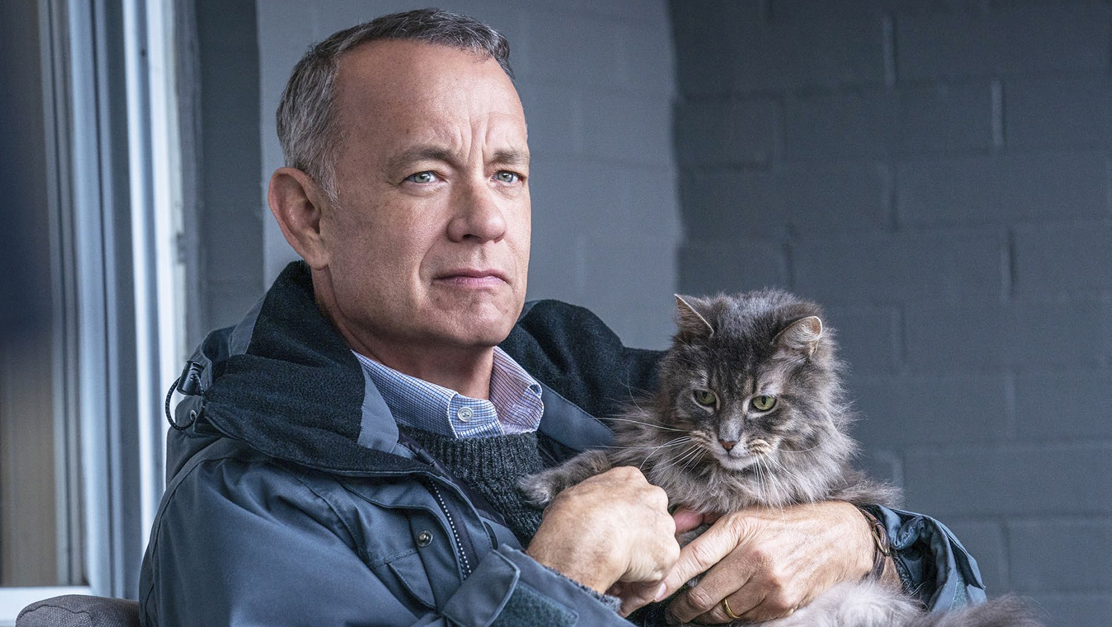 Tom Hanks kissa sylissä