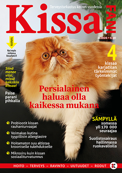 Kissafani 2-2026