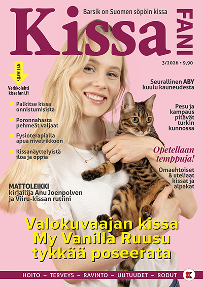 Kissafani 3-2026