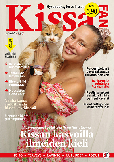 Kissafani 4-2026