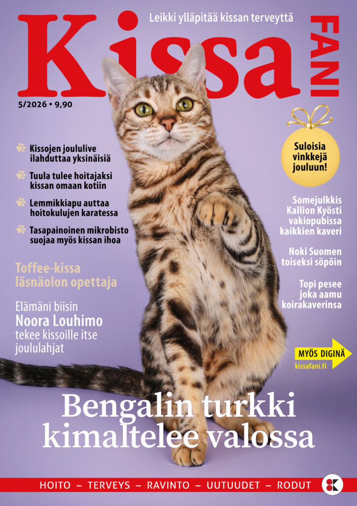 Kissafani 5-2026